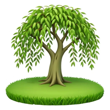 A 3D cartoon willow tree with drooping green branches over soft grass, natural sunlight, Memoji-style rendering. sticker