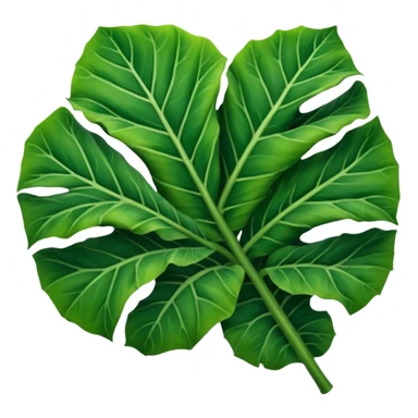alocasia leaf sticker