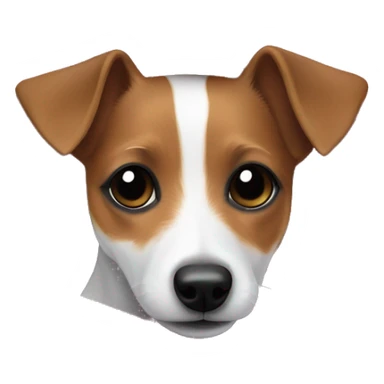 Jack russel Terrier cozy in pink blanket  sticker