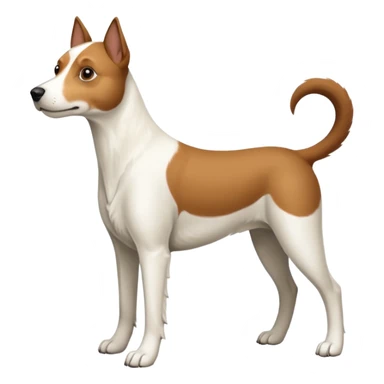 a full body white parson russell looking dog the size of a kelpie with light brown ears and a light brown patch on one eye and a large snout sticker