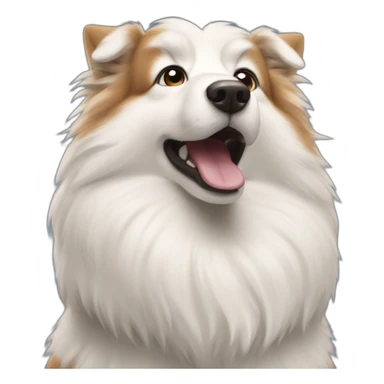 Iceland Sheepdog spitz hears up sticker