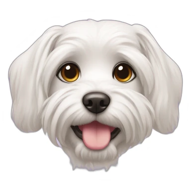  dog Maltese Face with a few hearts around her head sticker