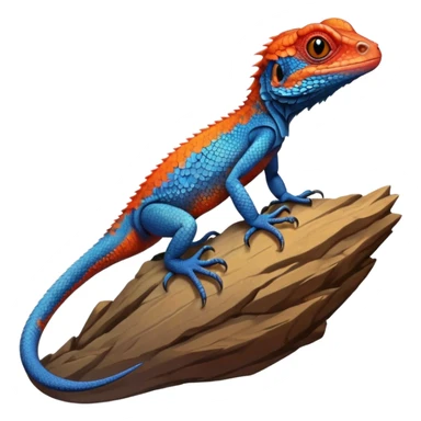 red-headed agama (Agama agama) sticker