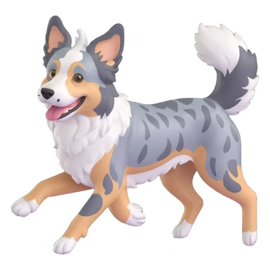 berger américain merle bleu (poil noir plutot que gris/bleu, blanc et marron)  en train de courir sur plage  sticker