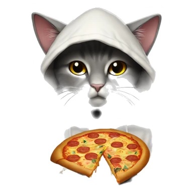 A hooded cat is holding btc in his hand , sweeter and Night-themes, Behind it is written pizza and JR crypto sticker