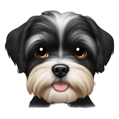 Shih tzu black puppy, yorkie coloring with light eyebrows  sticker