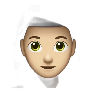 white-ninja-with-a-white-veil-on-his-head,-green-eyes sticker