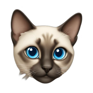 Siamese blue eyed cat sticker