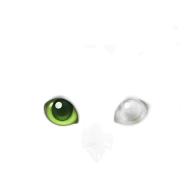 white male cat whith grey hair whith a green eyes sticker
