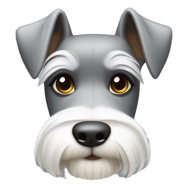 miniature schnauzer that is gray and white with brown eyes sticker