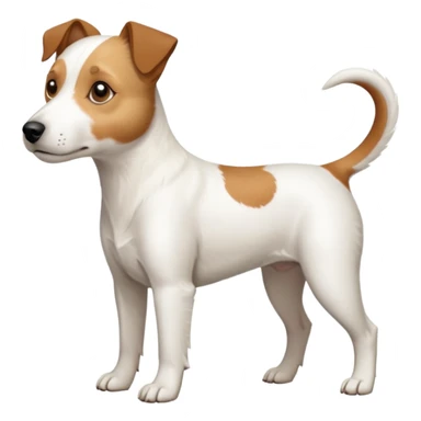 a full body slightly chubby white parson russell terrier looking dog the size of a kelpie with light brown long ears and a light brown patch on one eye and a large snout. the rest of the dog is completely white sticker