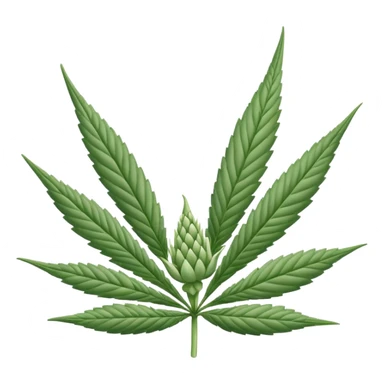 white color marijuana, no color sticker