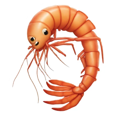 Prawn  sticker