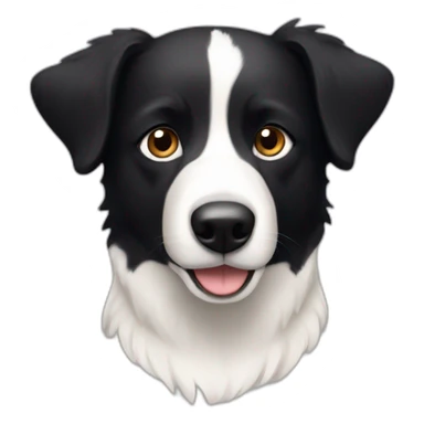 dog, short-hair, black-hair, white-chest, white-stripe-down-nose, black-face, black-head, border-collie, mcnab sticker