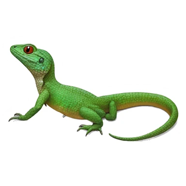 Common Puerto Rican ameiva ground lizard sticker