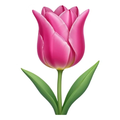 Pink tulip sticker