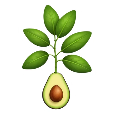 young avocado plant with two leaves sticker