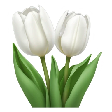 White tulips sticker