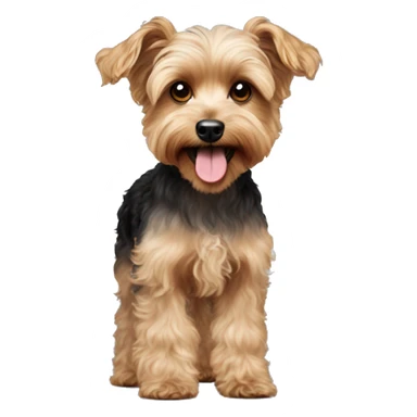 Yorkie poodle mixed dog with curly hair body and very fluffy with longer ears sticker