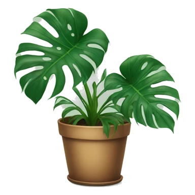 Monstera ( no pot ) sticker