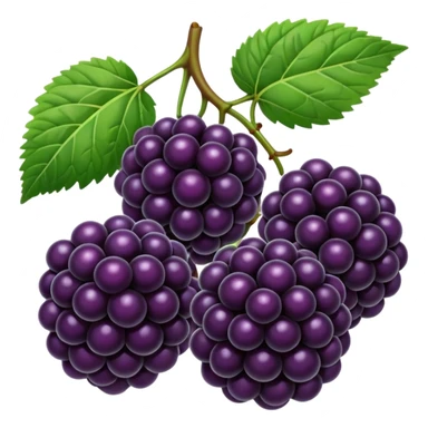 blackberries sticker