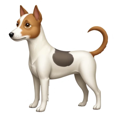 a full body large white parson russell looking dog the size of a kelpie with light brown ears and a light brown patch on one eye and a large snout sticker