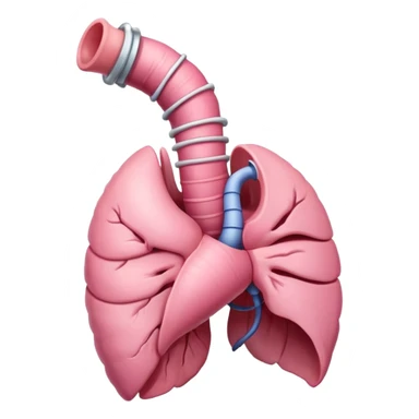 anatomically correct esophagus with visible anatomical details sticker