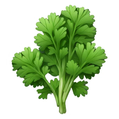 Cilantro with black background sticker