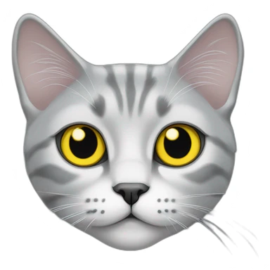 Silver marble Scottish straight cat with yellow eyes sticker