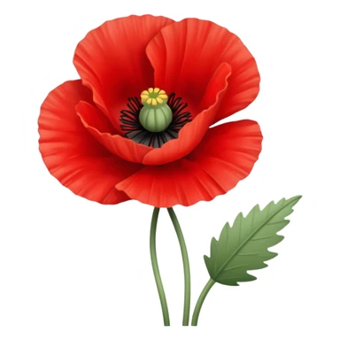 Poppy flower for Memorial Day  sticker