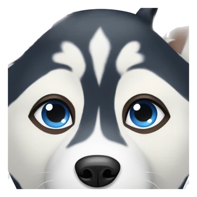 Husky white and black with blue and brown eyes sticker