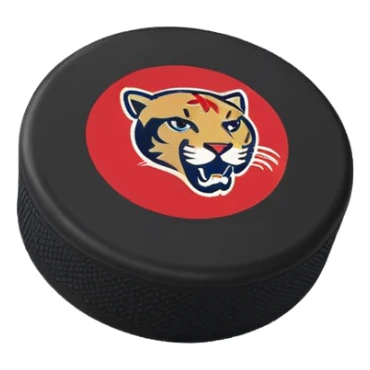 hockey puck with Florida Panthers colors sticker