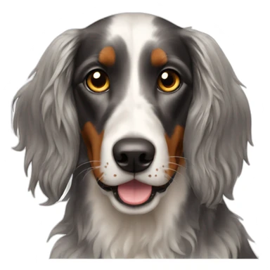 Race de chien setter gordon sticker