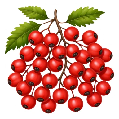 rowan/mountain ash berries, simple sticker