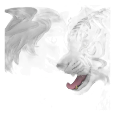 Black wolf kiss white tiger sticker