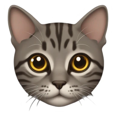 Tabby dark grey brown cat name small eye sticker