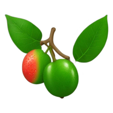 guaraná-can sticker