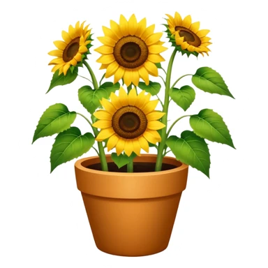 sunflowers pot sticker