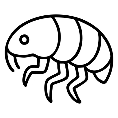 a sand flea, outlined icon style, simple black line art sticker