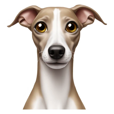 italian greyhound  sticker
