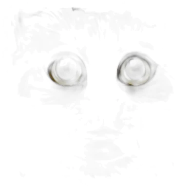 cat-witc-tarot sticker