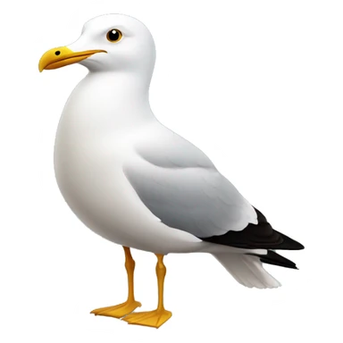 outer tomao gull sticker