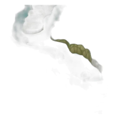 fishing road sticker