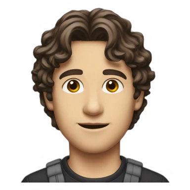 Timothée poux sticker