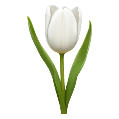 White tulips  sticker