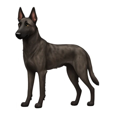 Brindle Dutch shepherd  sticker
