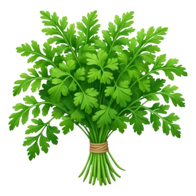 coriander big  bunch sticker