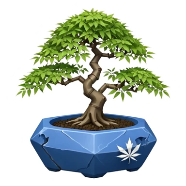 Japanese broken Icosahedron-shaped shallow dark bamboo blue maple tree bonsai pot sticker