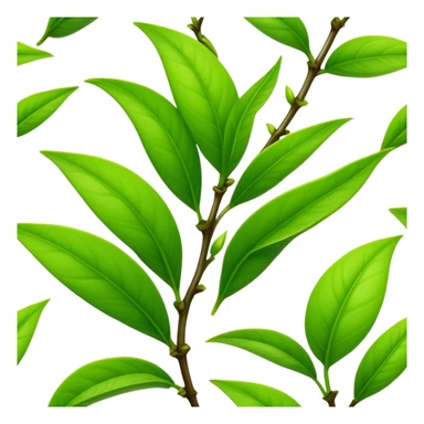 Fresh green tea buds with young tender leaves sticker