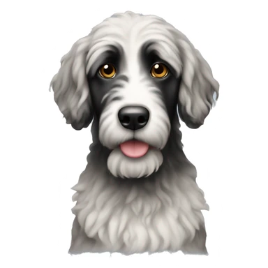 Please create a bernadoodle with black head sticker
